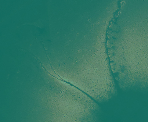 Life In a Time of Corona- Letters from the Ledge_1