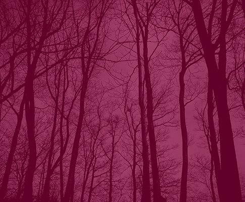 Moments and Memories: letting go of the darkness